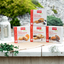BEZGLUTENOWE ORGANICZNE BATONIKI GRYCZANE Z JAGODAMI BIO GERMINAL