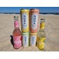 copy of WODA GAZOWANA Z SOKIEM OWOCOWYM B/C CYTRYNA SYCYLIJSKA BIO 330 ML - NODA
